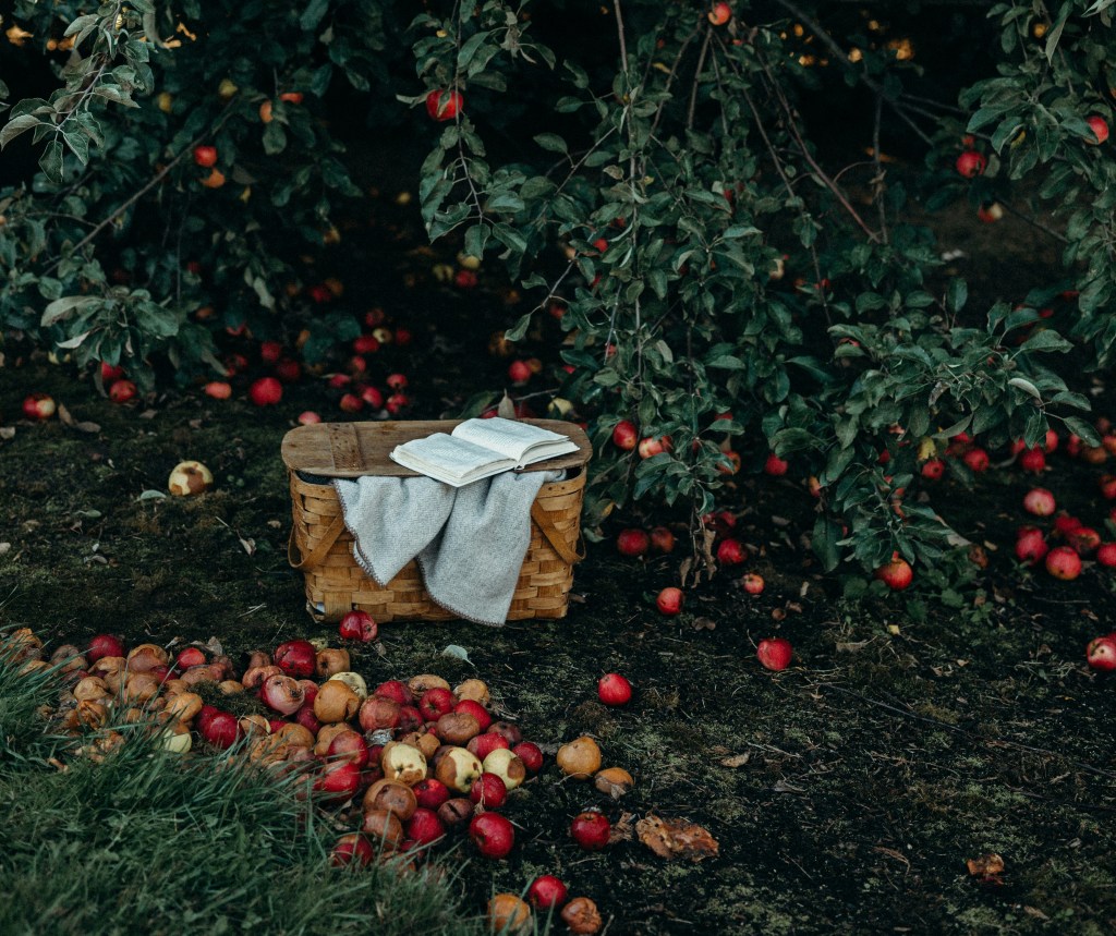 All for Granted; or, A Twist on Silverstein’s The Giving Tree