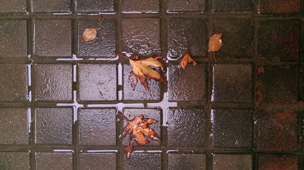 my body turned&nbsp;20